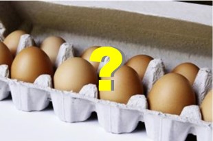 egg question